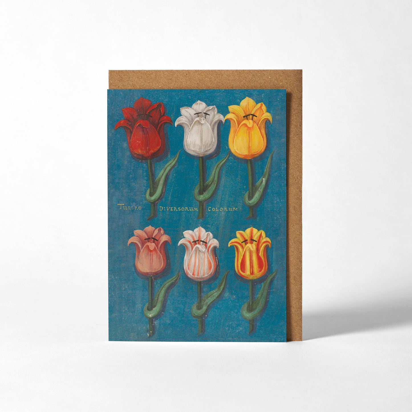 Greetings Card - Festival of Flowers Blue